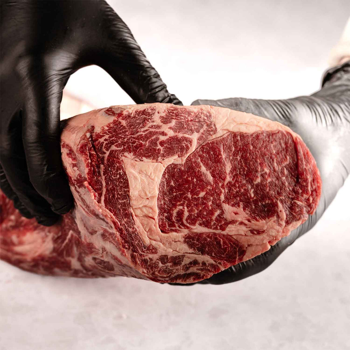 XO Ribeye prime